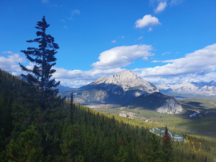 Jasper Downtown